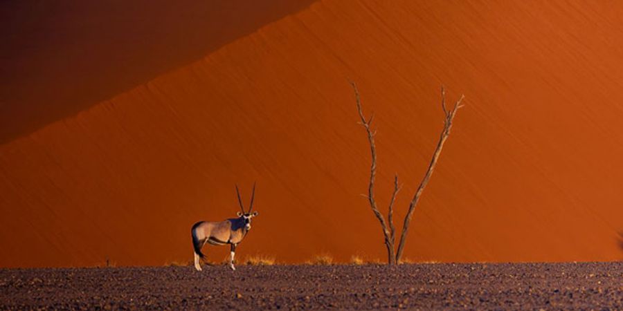 image - Namibie, exceptionnelle par nature