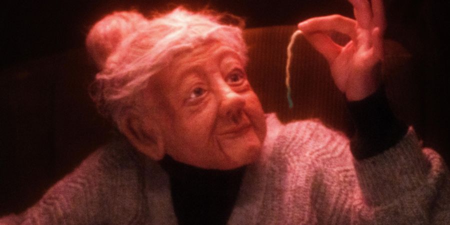 image - Boite crânienne