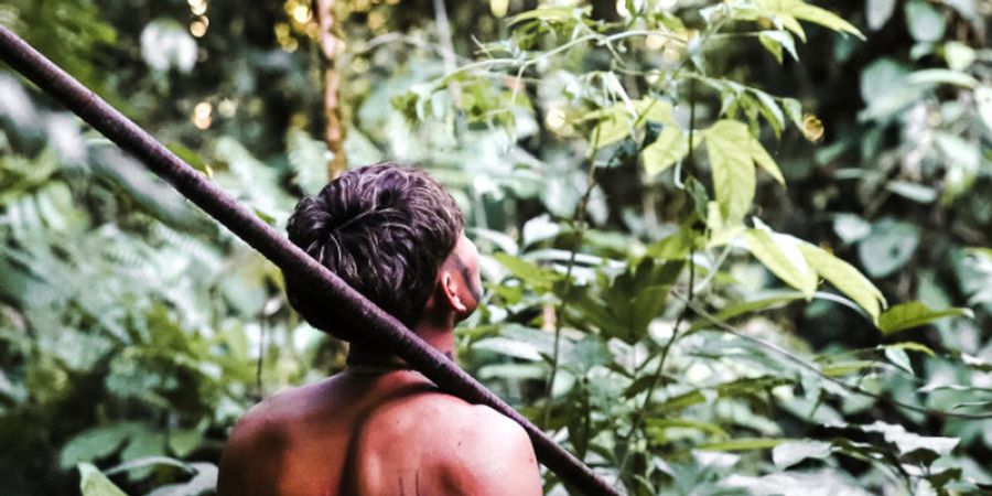 image - Document-Terre : Waorani, à l'orée d'un nouveau monde