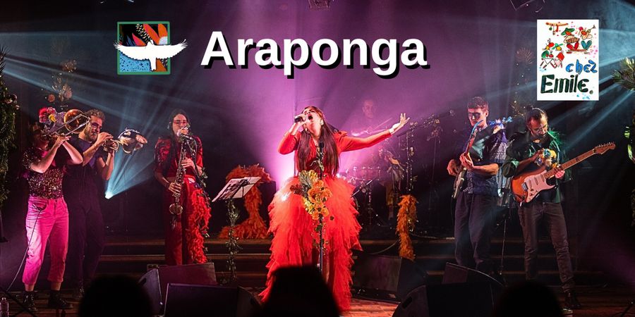 image - Concert de Araponga