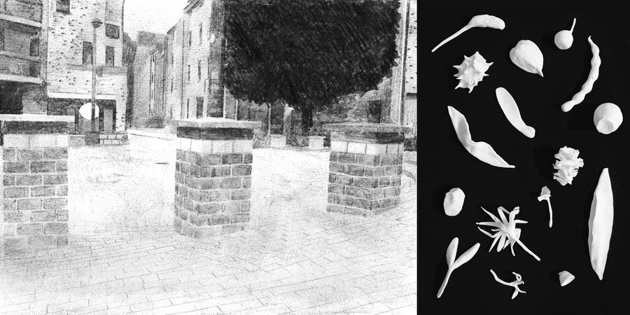 image - Au dehors les chemins