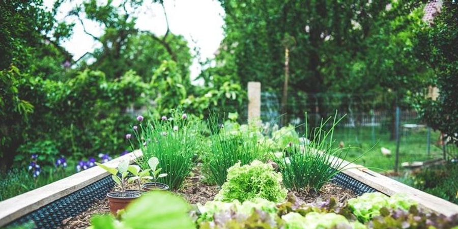 image - Le rendez-vous des Permapotes