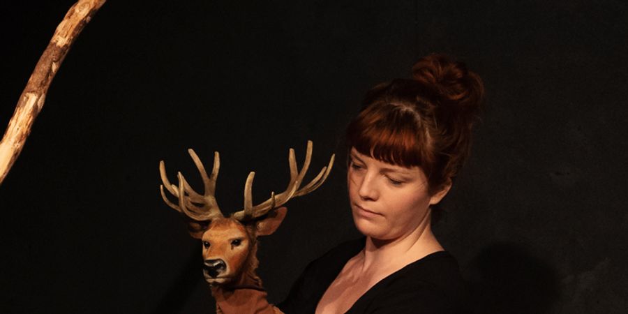 image - Atelier : Dans le bois