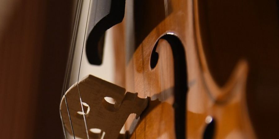 image - Midzik - Les artistes en résidence de la Chapelle musicale Reine Élisabethh