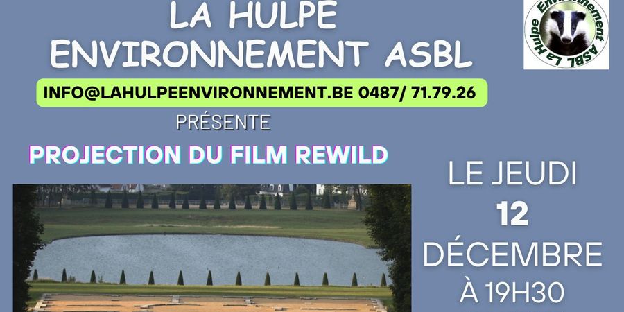 image - Projection film 