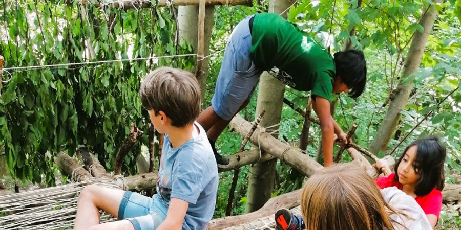 image - Stage Eté 1 - Apd 8ans - Robin des bois