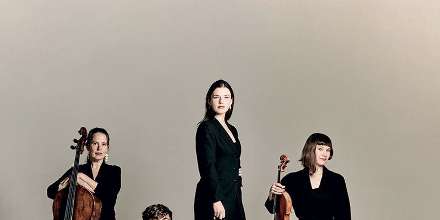 image - Quatuor Valo