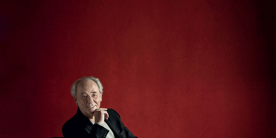 image - Maxime Le Forestier