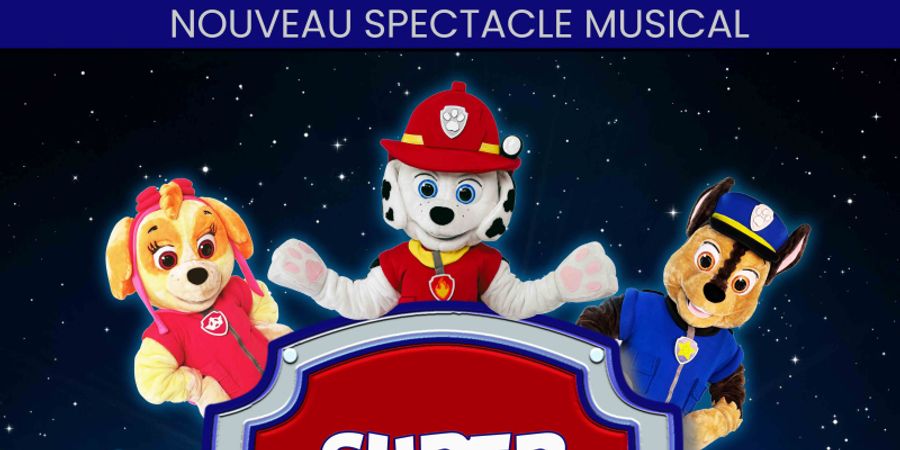 image - La Super Patrouille en mission spéciale