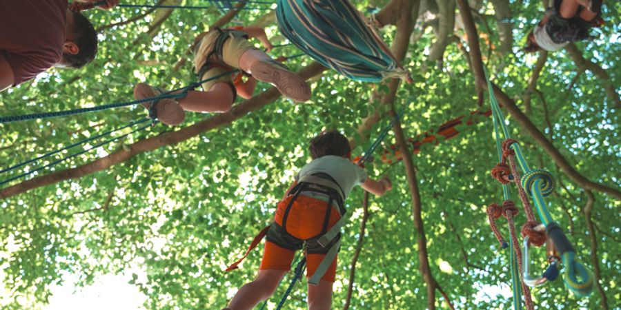 image - ADN Art Dans La Nature