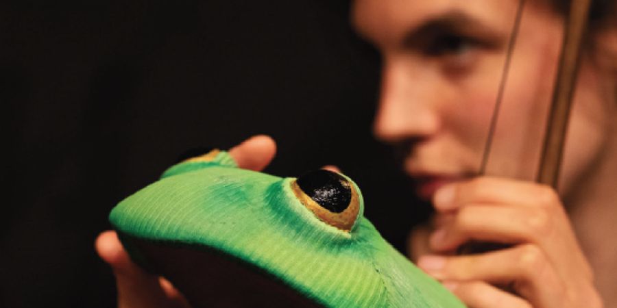 image - DANS LES BOIS