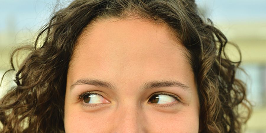 image - LE VOYAGE DE LOU