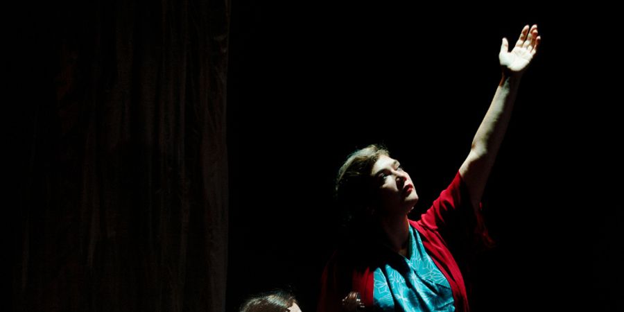 image - Rosemary Standley : Birds on a wire