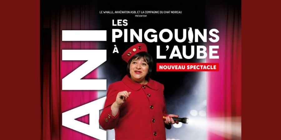 image - Zidani - Les pingouins à l'aube