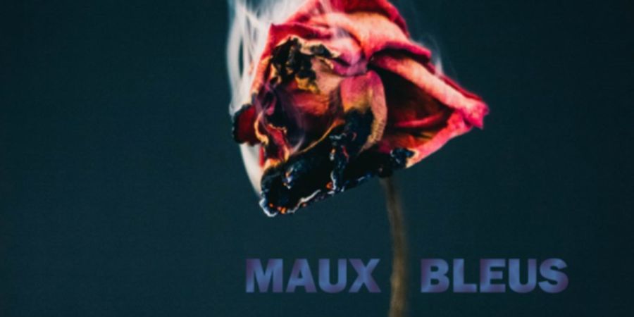 image - Les Maux bleus – Théâtre des Rues