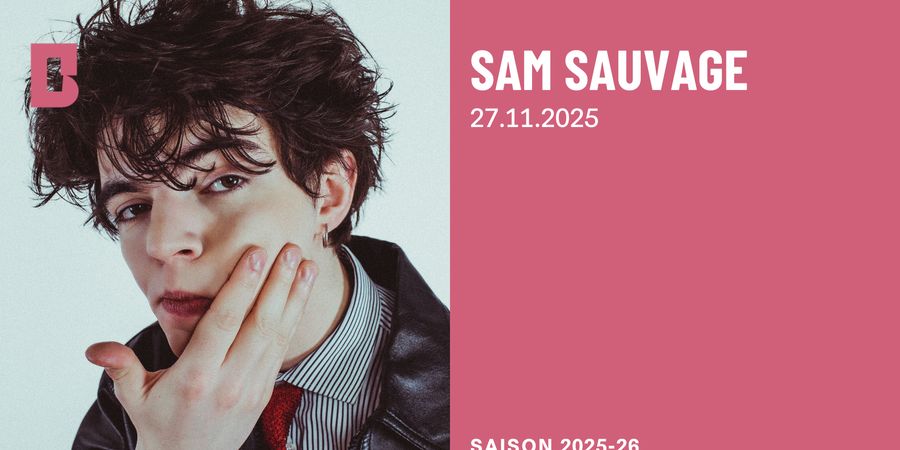 image - Sam Sauvage