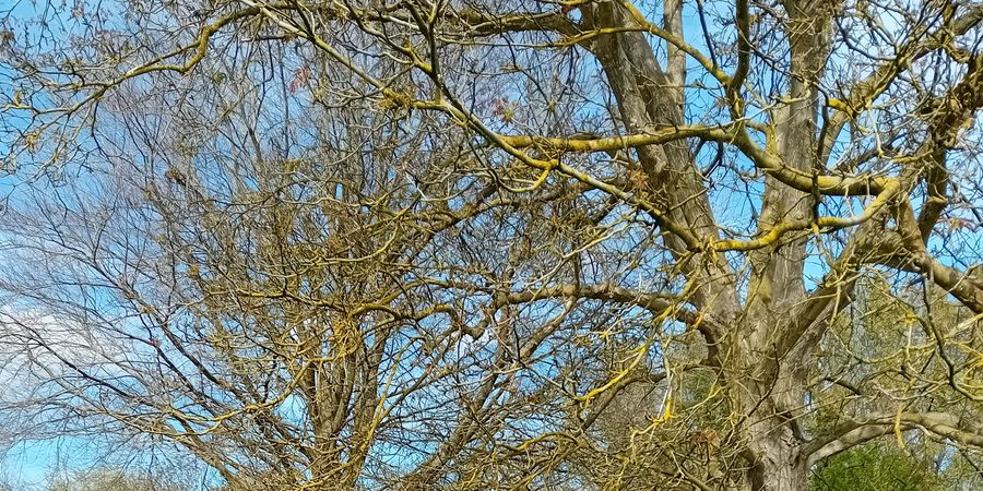 image - Le Jardin Enchanté @ Au Moulin des Délices
