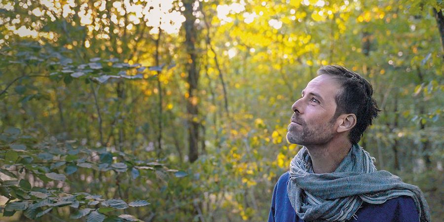 image - Le Mois du Doc - La Sagesse de nos Arbres