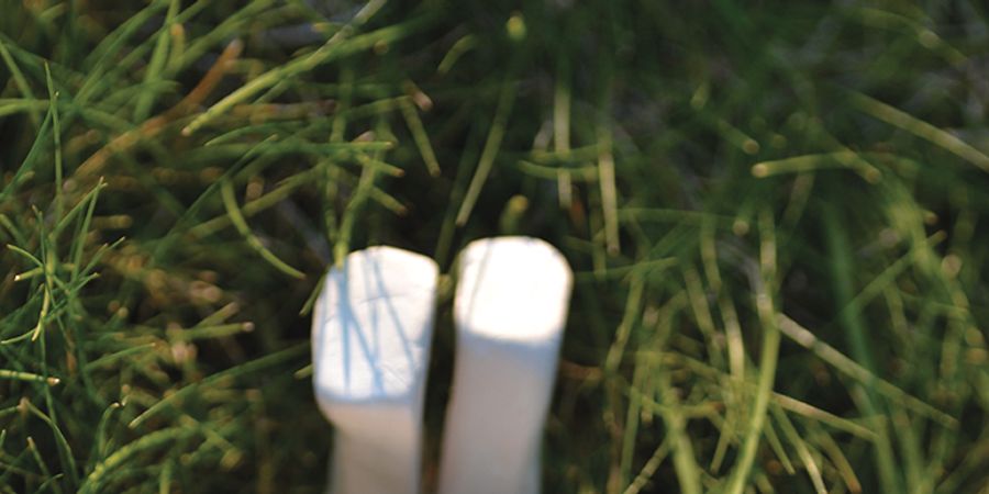 image - Ataraxie - La quiétude optimiste