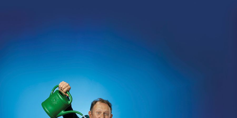 image - Y’a d’la joie