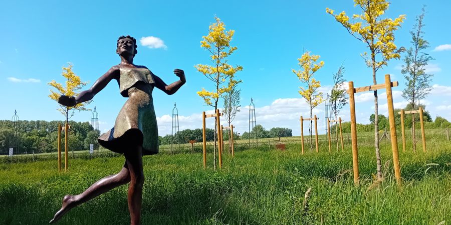 image - « Le Jardin Enchanté 2025 » s'ouvre avec la période de lumière