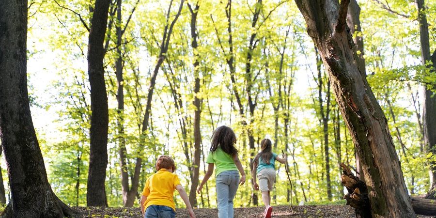 image - Balade kids & dégustation de bières