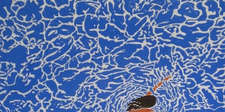 image - STAGES d’été aux Ateliers du 38 – Adultes – Juillet 2025