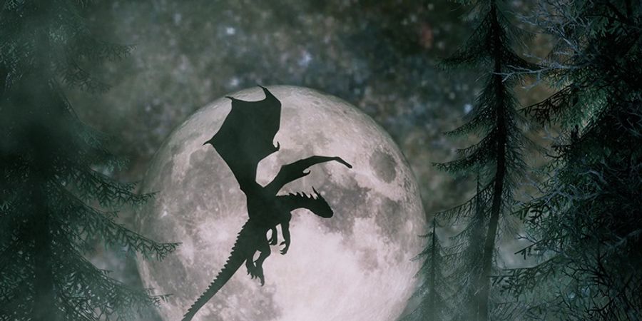 image - Le Dragon