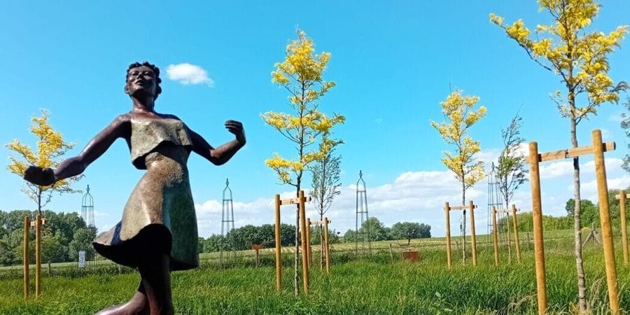 image - Le Jardin Enchanté