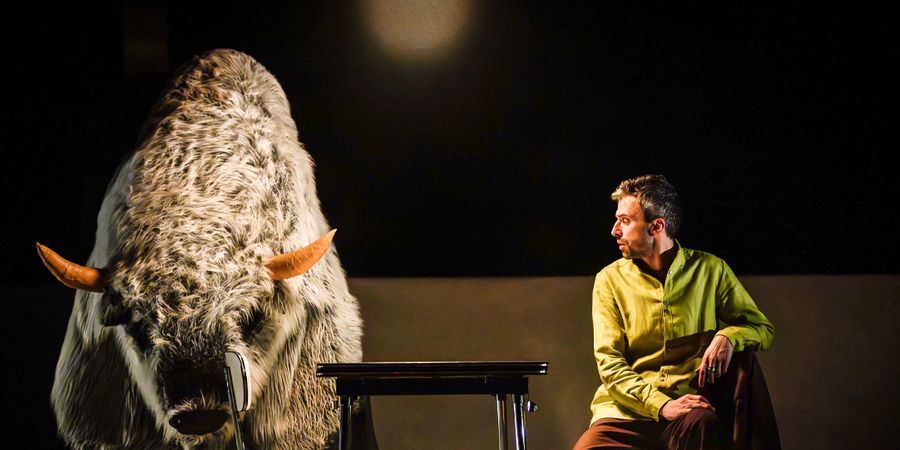 image - Fils de bâtard