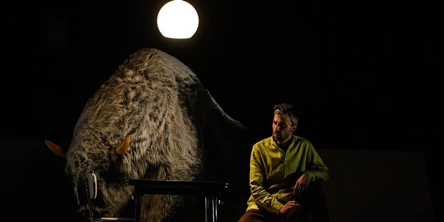 image - Fils de Bâtard