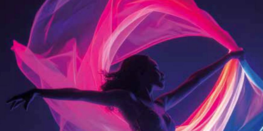 image - Festival Danse en Fête - 5 musiciens, 5 écoles de danse, 5 styles