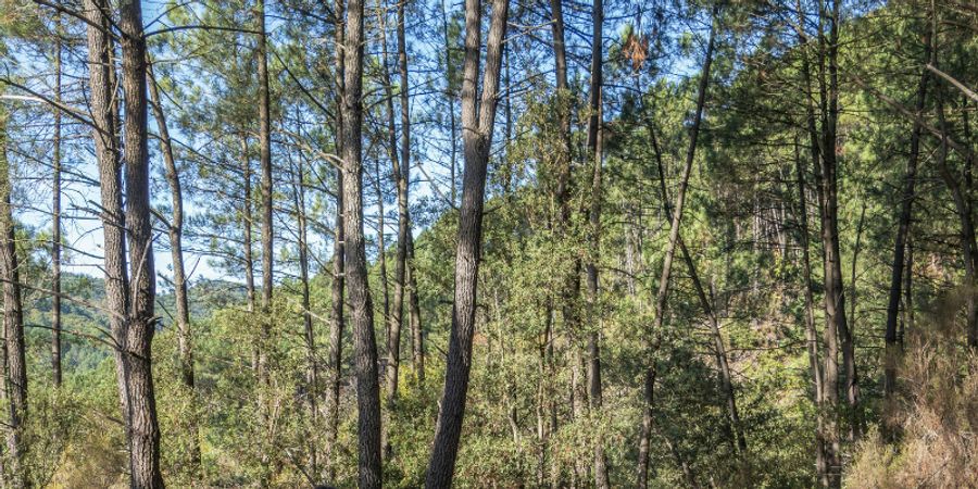 image - Les nuits d'encre | Balade contée à Ottignies