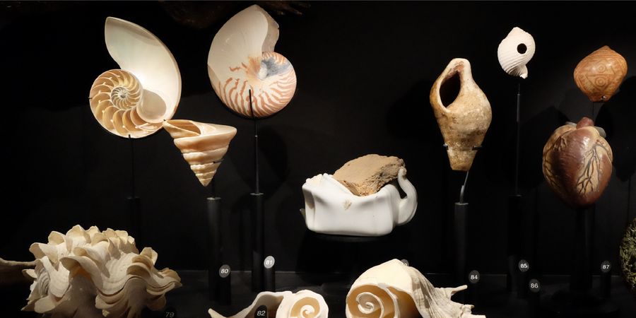 image - Balade au fil de lʼeau… dans les collections! - lunch time