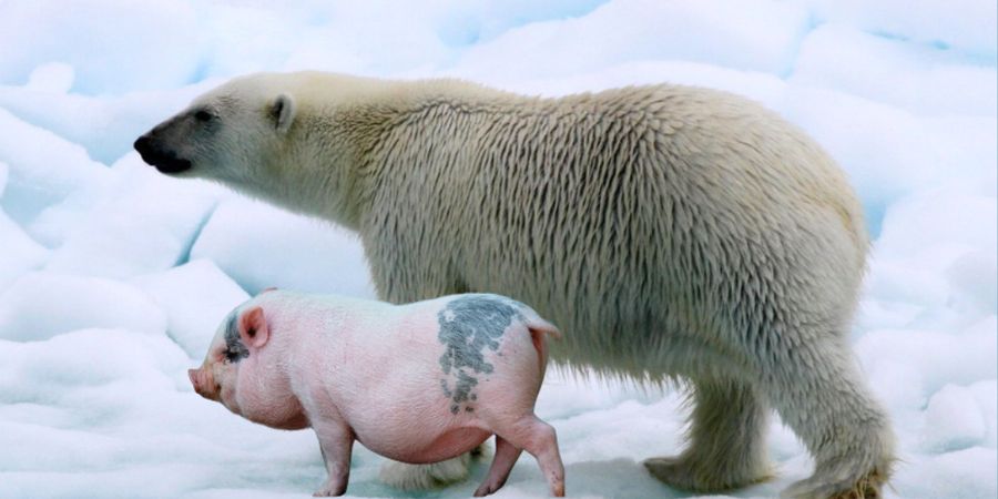 image - Racontars d'hiver