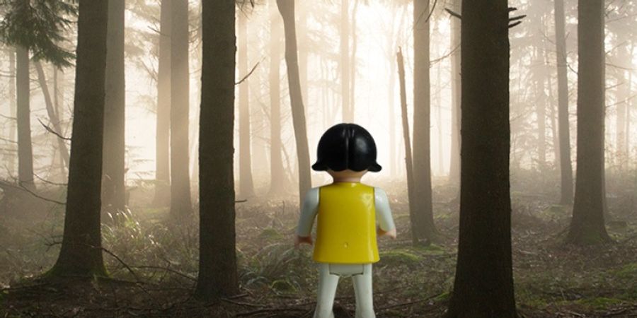 image - Le Silence de Claire Lagrange