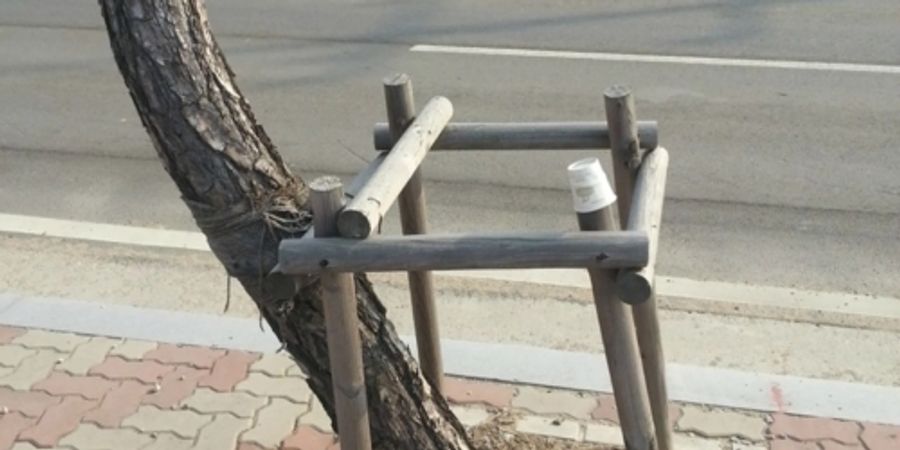 image - Chance - COMPAGNIE NÉANDERTAL