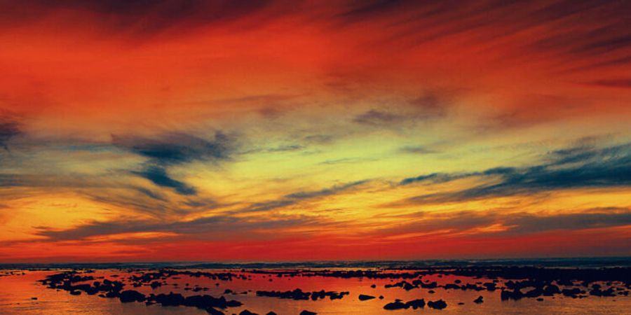 image - [Re]naissance (Salon d’Hiver)