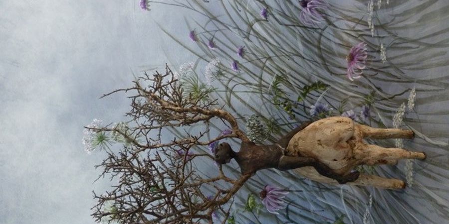 image - Sophie Collet et Ann Schoemans