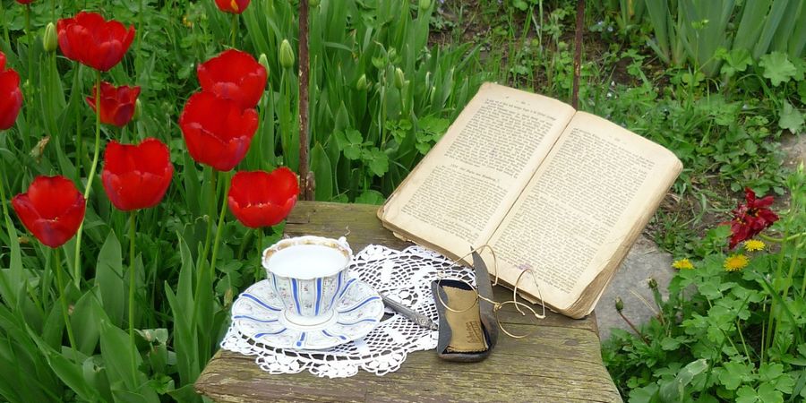 image - Salon- jardin du livre et des auteurs (2e éd.)